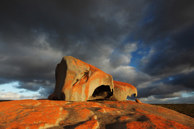 Kangaroo Island Tour | By Pete Dobre Australian Photography Tours and Workshops