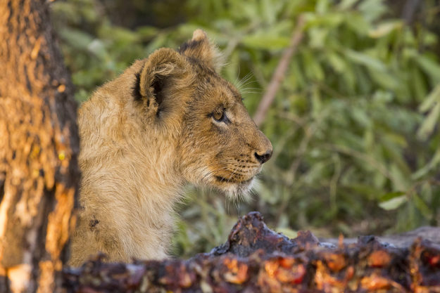 South African Photography Tour