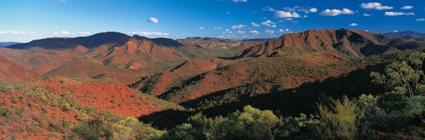 ARKAROOLA – Northern Flinders Ranges – South Australia Pete Dobre Book Page 1