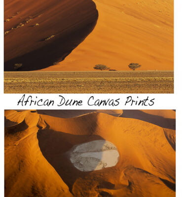 African Dune Canvas Prints