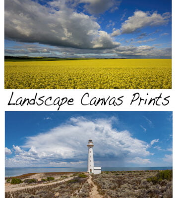 Landscape Canvas Prints