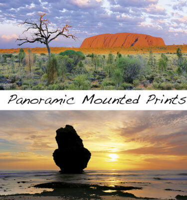 Panoramic Mounted Prints