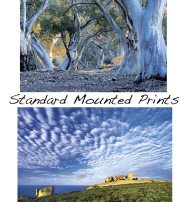 Standard Mounted Prints