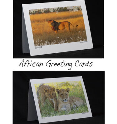 African Collection - Greeting Cards