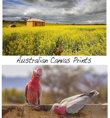 Australian Canvas Prints
